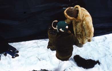 Collective action To Panitkov. Photo - 26