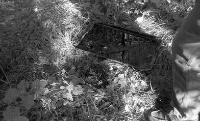 Collective action Library. Photo - 104