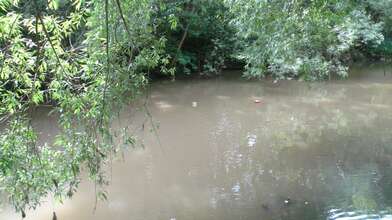 Акция КД Сечение Яузы — 333 хлыста. Фотография - 15