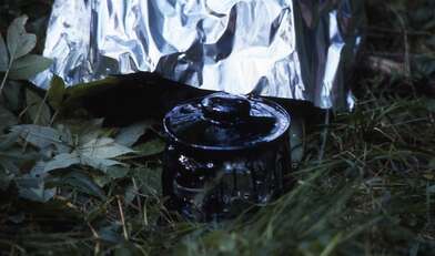 Collective action Library. Photo - 65