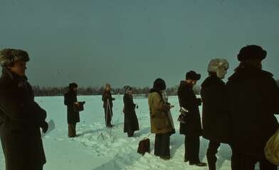 Collective action Observing the Waterfall. Photo - 79