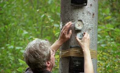 Collective action The Sack. Photo - 47