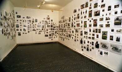 Seeking Paradise. Photo - 0