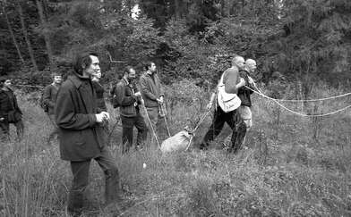 Collective action The Sack. Photo - 76