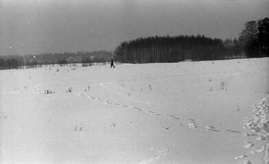 Collective action Observing the Waterfall. Photo - 15