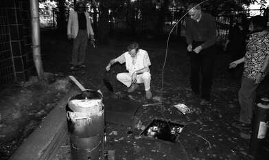 Collective action Library. Photo - 92