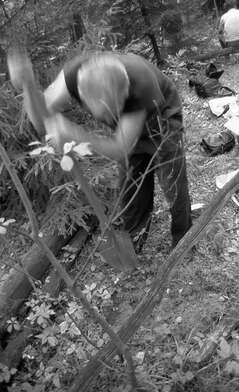 Collective action Library. Photo - 118