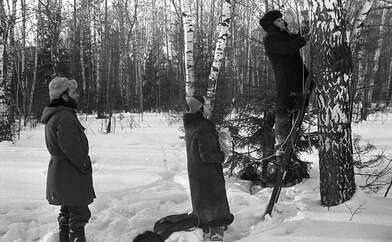 Collective action To Panitkov. Photo - 82