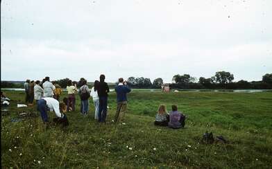 Collective action Second Picture. Photo - 20