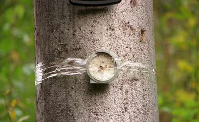 Collective action The Sack. Photo - 48