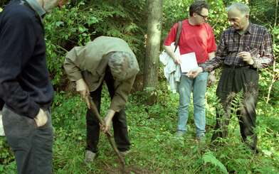 Collective action The Sack. Photo - 58