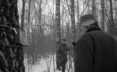 Collective action 83. Photo - 109