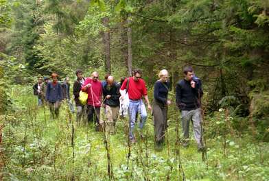 Collective action The Sack. Photo - 25