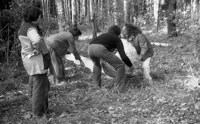 Акция КД М. Фотография - 76