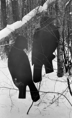 Collective action Negatives. Photo - 46