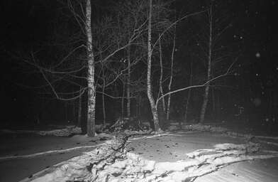 Collective action To Panitkov. Photo - 106