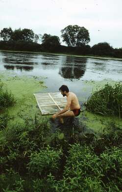 Collective action Second Picture. Photo - 12