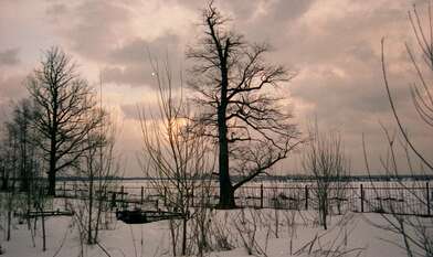 Collective action 83. Photo - 82