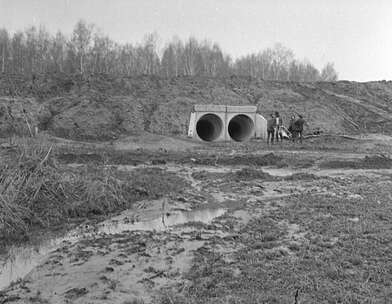 Акция КД Встреча. Фотография - 23