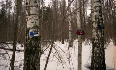 Collective action 83. Photo - 36