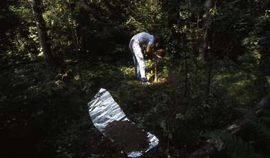 Collective action Library. Photo - 63