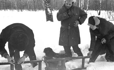 Collective action To Panitkov. Photo - 53