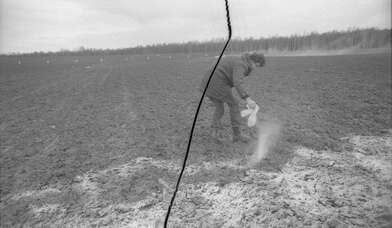 Collective action Image of a Rhombus. Photo - 11