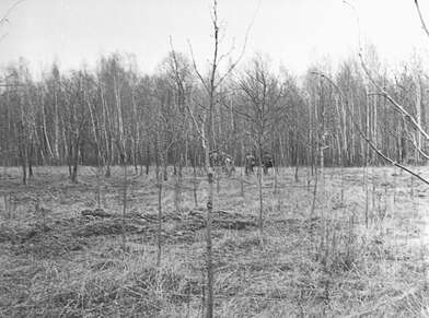 Акция КД Встреча. Фотография - 16