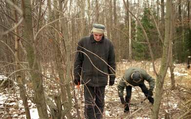 Collective action On the Clearing. Photo - 13