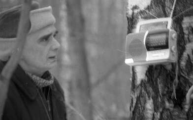 Collective action 83. Photo - 93