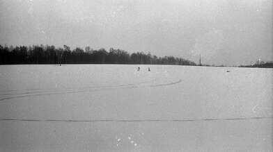 Collective action Description of Action. Photo - 16