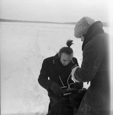 Collective action Sound Perspectives. Photo - 73