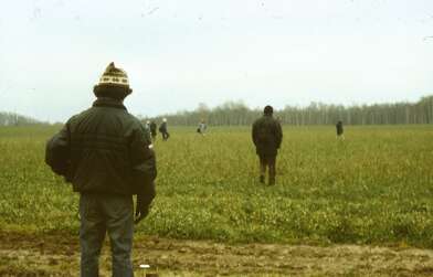 Акция КД Произведение изобразительного искусства — картина. Фотография - 7