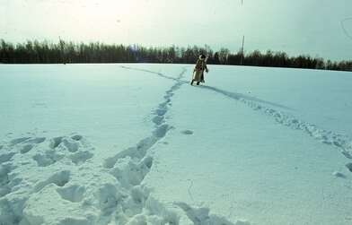 Акция КД 10 Появлений. Фотография - 63