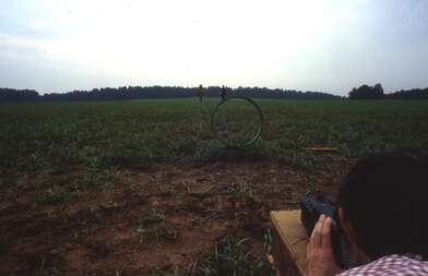 Collective action Moving of the Audience. Photo - 18