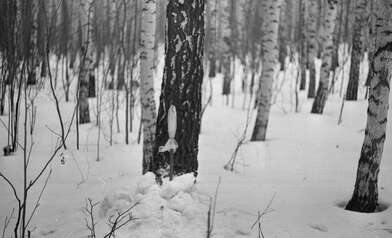 Акция КД За КД — 2. Фотография - 38