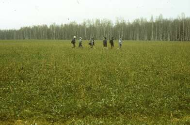 Акция КД Произведение изобразительного искусства — картина. Фотография - 9