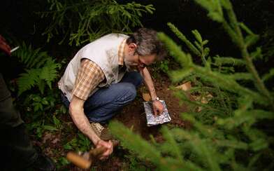 Collective action Library. Photo - 35