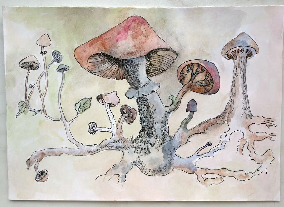 Elena Elagina. Artwork Mushrooms