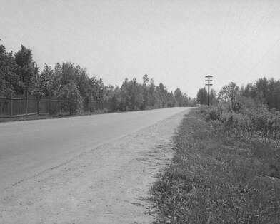 Collective action To V. Nekrasov. Photo - 1