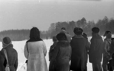 Collective action Observing the Waterfall. Photo - 5