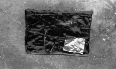 Collective action Library. Photo - 95