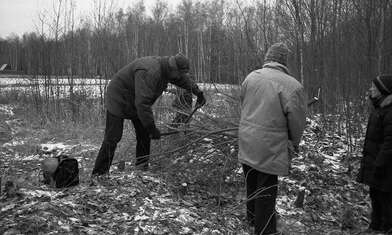 Collective action On the Clearing. Photo - 41