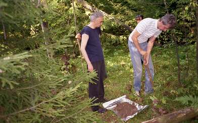 Collective action Library. Photo - 37