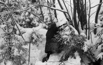 Collective action 625-520. Photo - 89