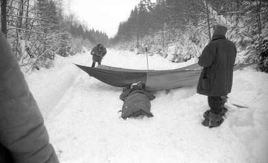 Collective action 625-520. Photo - 123