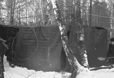 Collective action To Panitkov. Photo - 92