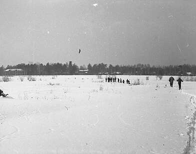Collective action Observing the Waterfall. Photo - 36