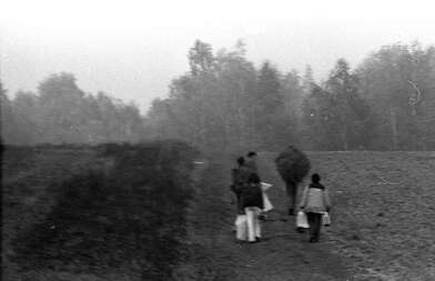 Акция КД М. Фотография - 39