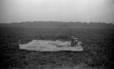 Collective action Moving of the Audience. Photo - 27